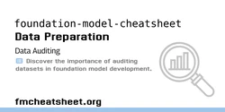 Data Auditing Resources for Foundation Models
